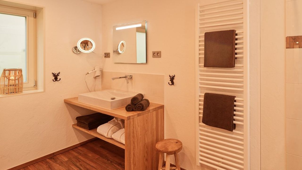 Rheinblick-Chalet: Bad mit Dusche & WC im EG Rheinblick-Chalet: Bad mit Dusche & WC im EG
